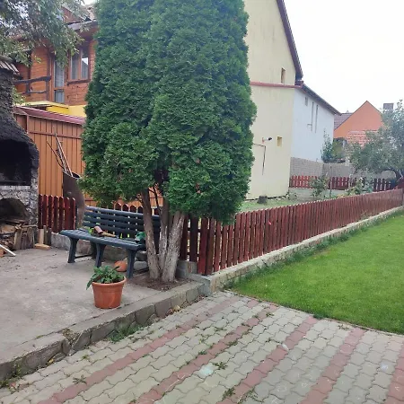 Torok Adrian Mihail Pfa
